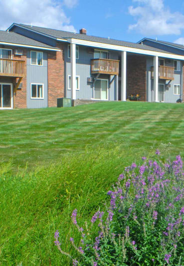 a green lawn in front of an apartment building