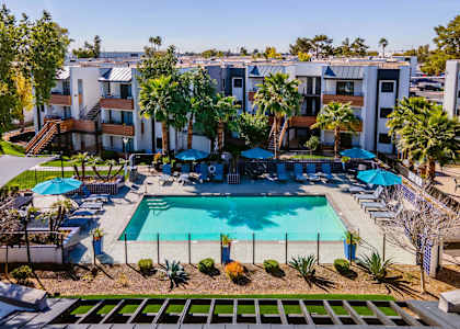 A swimming pool surrounded by palm trees and lounge chairs.