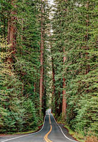 Beautiful hiking trails near Roseville, California