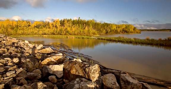 A rocky shore with a calm lake and trees in the distance.