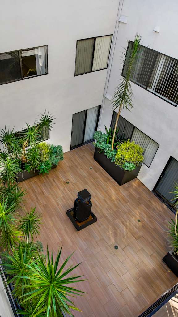 Courtyard view with plants.