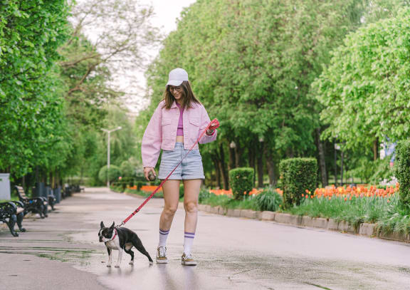 a woman walking her dog on a leash in a park