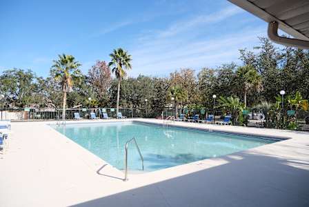 A large swimming pool surrounded by palm trees and blue lounge chairs.
