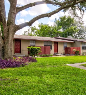 Camellia Court Apartments Apartments in Daytona Beach FL