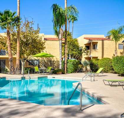A swimming pool surrounded by palm trees and lounge chairs.