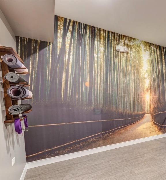 an empty room with a large painting on the wall and a rope