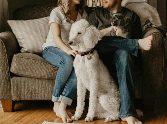 a couple sitting on a couch with their dog and a cat