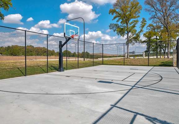 Basketball Court