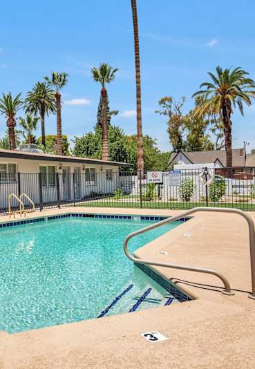 A pool surrounded by a fence with a slide and palm trees in the background.