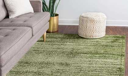 a living room with a couch and a green rug