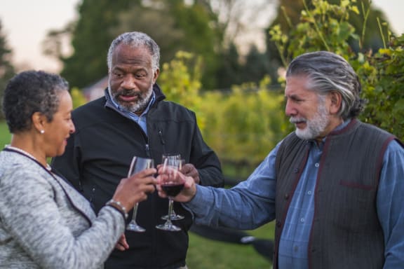 three people holding glasses of wine in a vineyard at Brookwood at Oakdale 55+, Oakdale