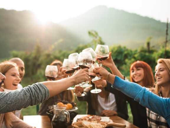 A group of people toasting with wine glasses in a vineyard.