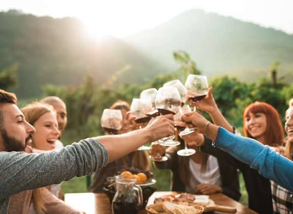 A group of people toasting with wine glasses in a vineyard.