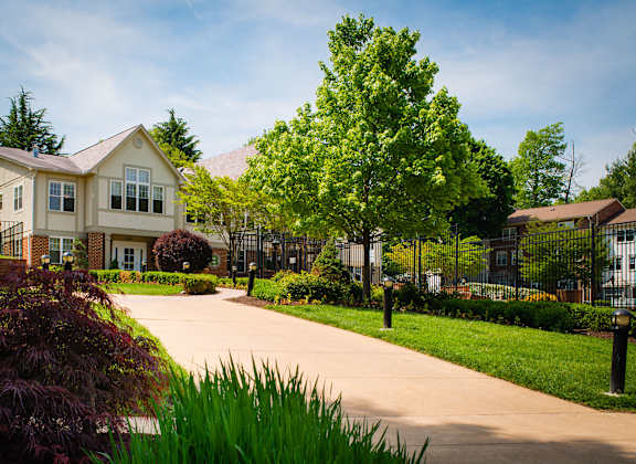 A house with a driveway and a tree in front