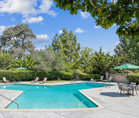 A swimming pool surrounded by trees and chairs.