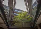 Thumbnail 5 of 6 - the view of a tree from the inside of a building