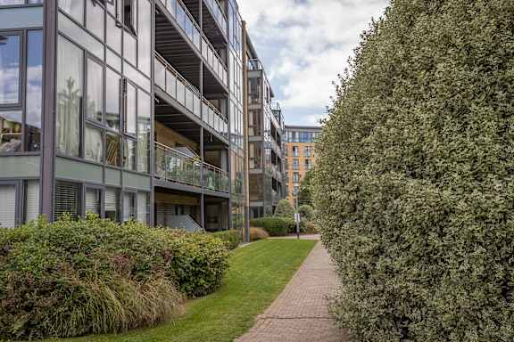 the walkway between the buildings is lined with green grass and bushes