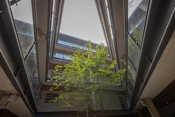 the view of a tree from the inside of a building