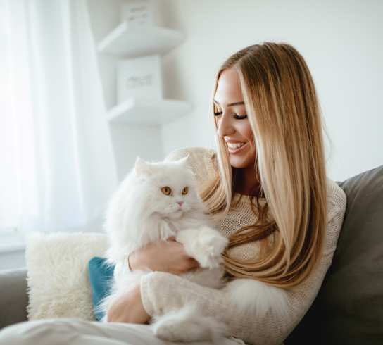 A woman is sitting on a couch holding a white cat.