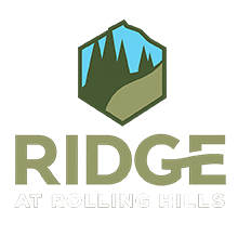 A mountain with a blue peak rises above a green landscape.