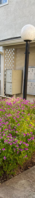 a street light in front of a house with purple flowers
