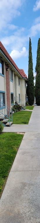 a sidewalk that is lined with grass and trees