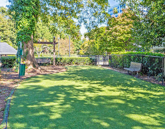 Evergreen Lenox Park - Fenced-in dog park with views