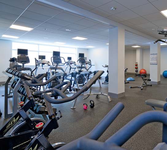 a room filled with cardio equipment and weights at 3333 Wisconsin, Washington, DC, 20016