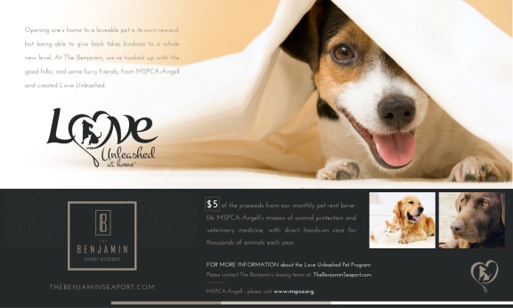 Angell's Banner at The Benjamin Seaport Residences, Boston, MA, 02210