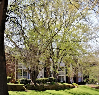 a row of houses with trees in front of them at Creekside Canopy, Charlotte North Carolina