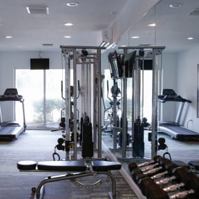 a large fitness room with cardio equipment and a large window