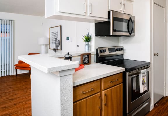 Stainless Steel Appliances at The Daphne Apartments, The Barvin Group, Texas, 77054