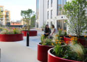 Thumbnail 6 of 7 - two women looking at plants in a garden outside a building
