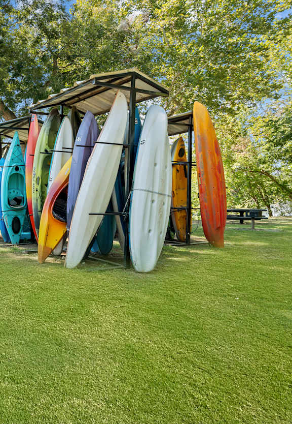 A row of surfboards are lined up on a grassy area.