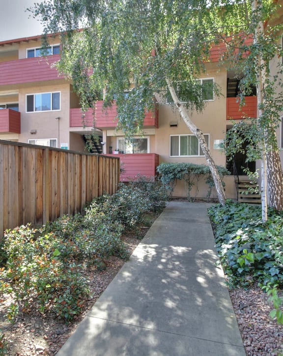 Courtyard Garden Space at The Californian Apartments in Mountain View, CA 94040