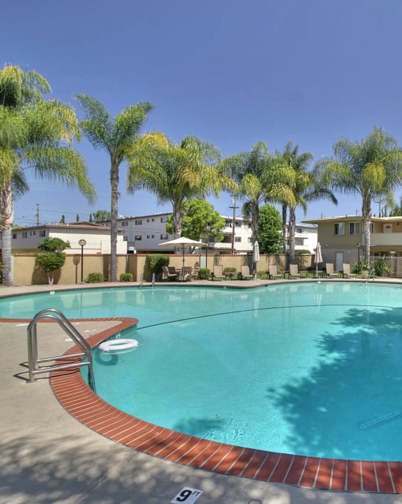 Swimming Pool With Relaxing Sundecks at The Arbors at Mountain View, Mountain View, CA