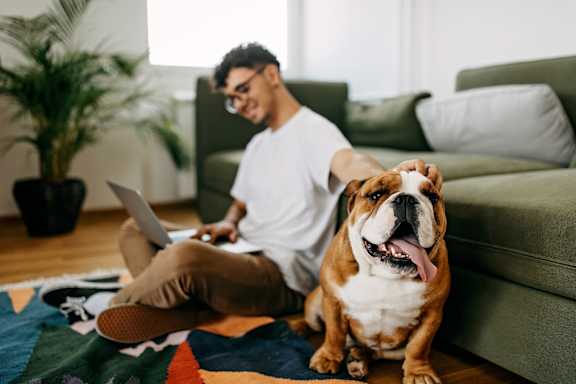 A man is sitting on the floor with a laptop and a bulldog at Noda Apartments, Seattle