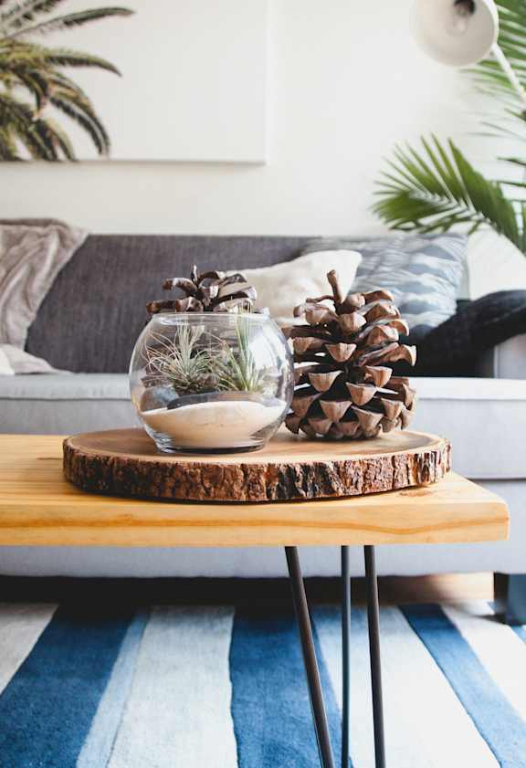 A pine cone sits on a wooden slice, with a glass vase containing a plant on a coffee table.