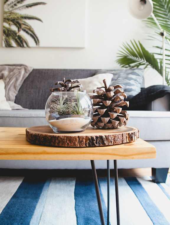 A pine cone sits on a wooden slice, with a glass vase containing a plant on a coffee table.