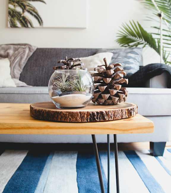 A pine cone sits on a wooden slice, with a glass vase containing a plant on a coffee table.