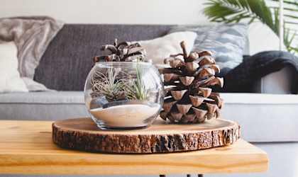 a living room with a wooden coffee table with a glass vase with a plant