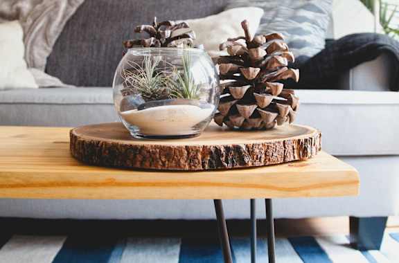 A pine cone sits on a wooden slice with a glass vase on top.