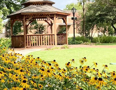 A gazebo is surrounded by yellow flowers in a park.