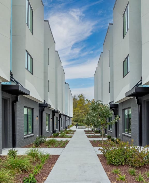 modern townhouses with a walkway between them with grass and plants