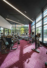 A gym with a row of treadmills and exercise bikes.