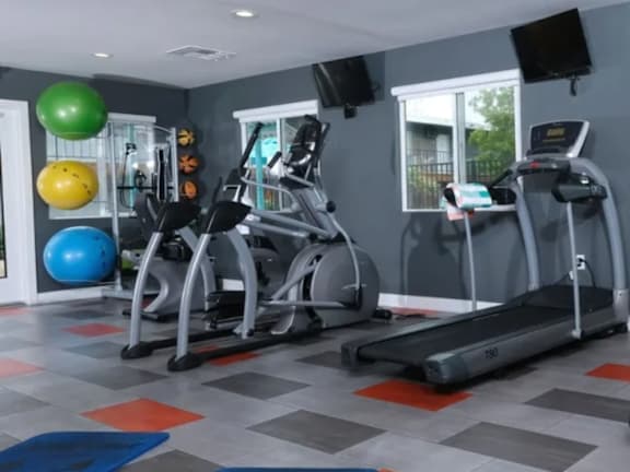 Fifteen 50 fitness center with treadmills, exercise balls and a television.