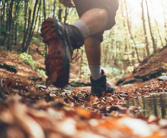 A person is walking on a leaf-covered path in the woods.