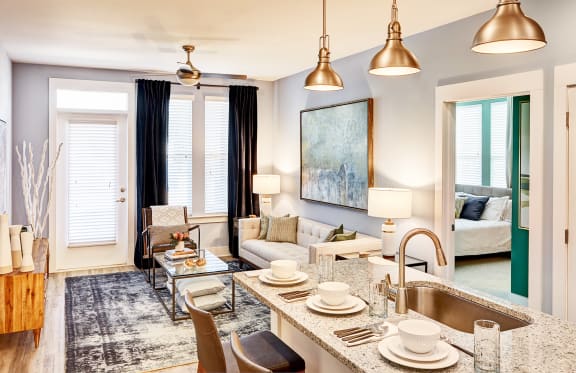 Kitchen and Living Room at Beckett Farms Apartments, PRG Real Estate Management, Fort Mill