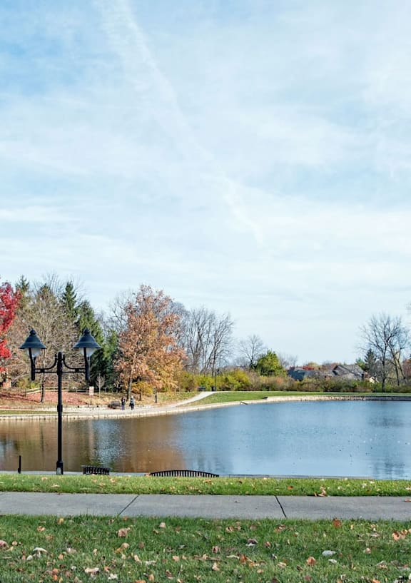 A serene park with a lake, trees, and a clear sky.