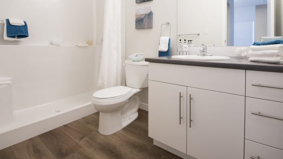 a bathroom with a toilet sink and shower and a mirror